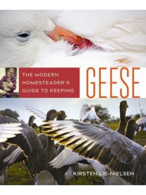 The Modern Homesteader's Guide to Keeping Geese