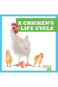 A Chicken's Life Cycle - Life Cycles