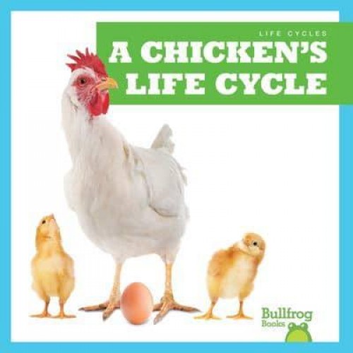 A Chicken's Life Cycle - Life Cycles