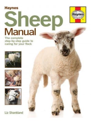 Haynes Sheep Manual The Step-by-Step Guide to Caring for Your First Flock