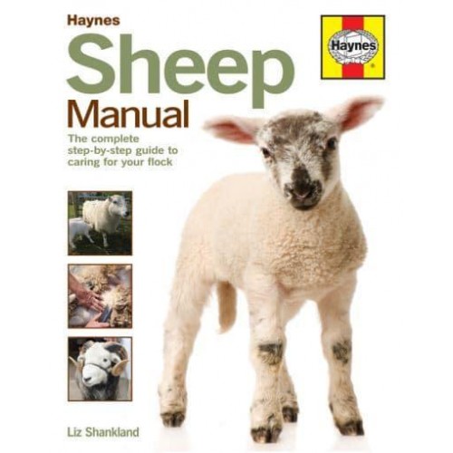 Haynes Sheep Manual The Step-by-Step Guide to Caring for Your First Flock