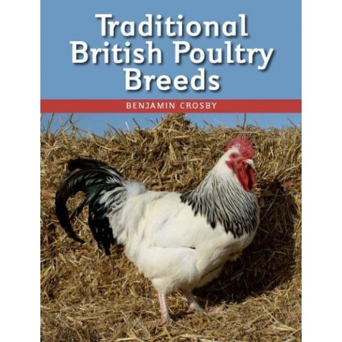 Traditional British Poultry Breeds