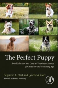 The Perfect Puppy Breed Selection and Care by Veterinary Science for Behavior and Neutering Age