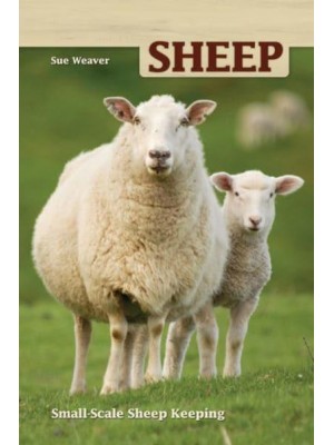 Sheep Small Scale Sheep Keeping