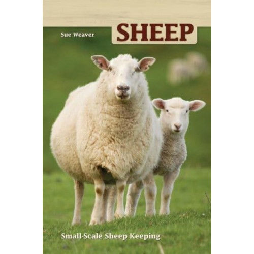 Sheep Small Scale Sheep Keeping