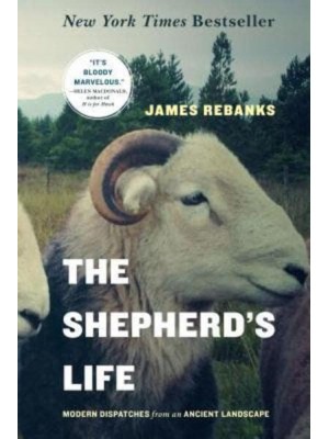 The Shepherd's Life Modern Dispatches from an Ancient Landscape