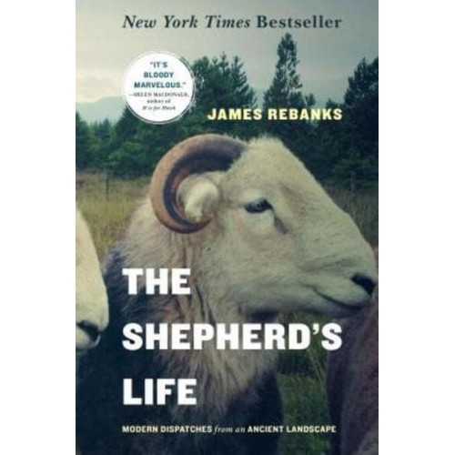 The Shepherd's Life Modern Dispatches from an Ancient Landscape