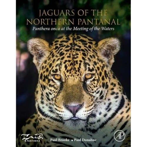 Jaguars of the Northern Pantanal Panthera Onca at the Meeting of the Waters