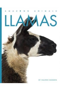 Llamas - Amazing Animals