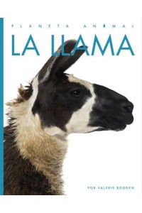 La Llama - Planeta Animal