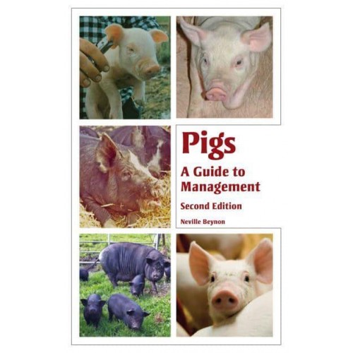 Pigs A Guide to Management