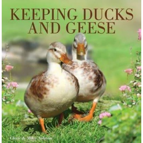 Keeping Ducks & Geese