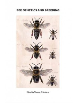Bee Genetics and Breeding