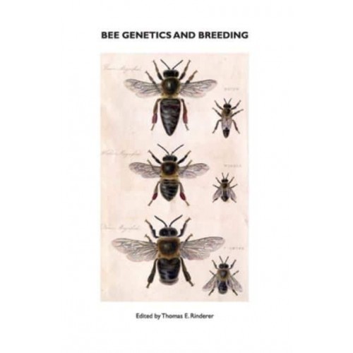 Bee Genetics and Breeding