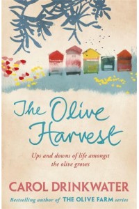 The Olive Harvest A Memory of Love, Old Trees and Olive Oil