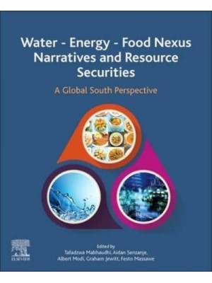 Water - Energy - Food Nexus Narratives and Resource Securities: A Global South Perspective