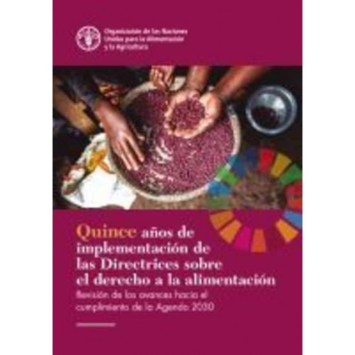 Fifteen Years Implementing the Right to Food Guidelines (Spanish Edition) Reviewing Progress to Achieve the 2030 Agenda