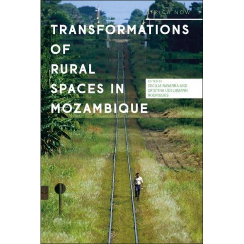 Transformation of Rural Spaces in Mozambique - Africa Now