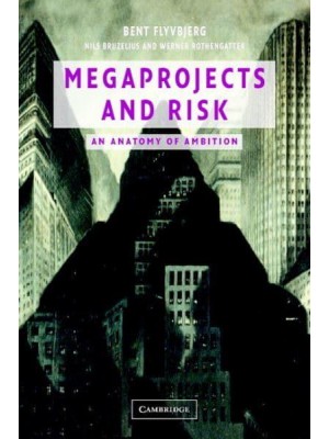 Megaprojects and Risk