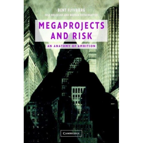 Megaprojects and Risk