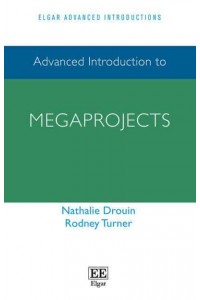 Advanced Introduction to Megaprojects - Elgar Advanced Introductions