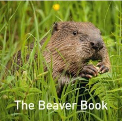 The Beaver Book - Nature Book Series