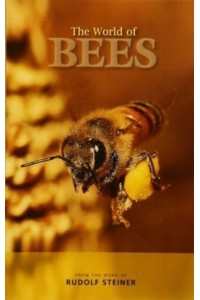 The World of Bees