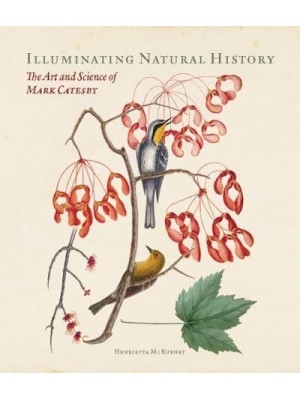 Illuminating Natural History The Art and Science of Mark Catesby
