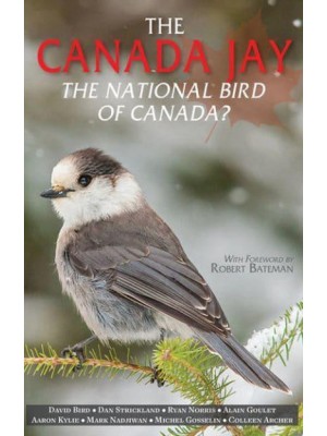 Canada Jay, The The National Bird of Canada?