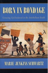 Born in Bondage Growing Up Enslaved in the Antebellum South