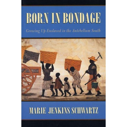 Born in Bondage Growing Up Enslaved in the Antebellum South