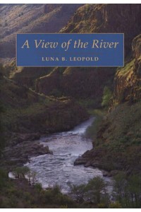 A View of the River