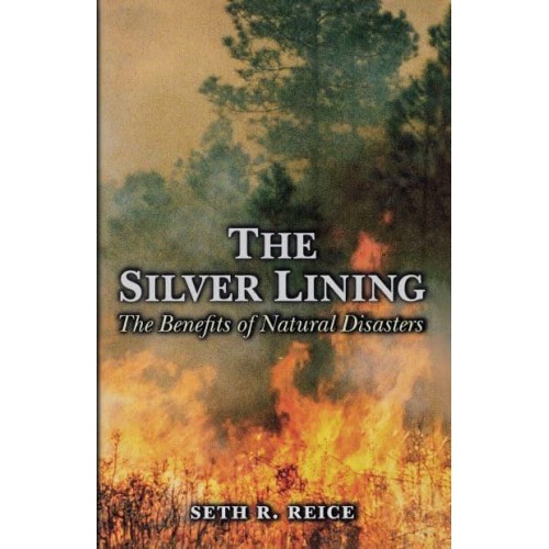 The Silver Lining The Benefits of Natural Disasters