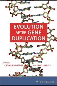 Evolution After Gene Duplication