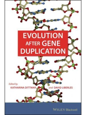 Evolution After Gene Duplication