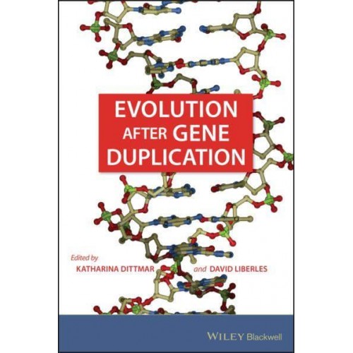 Evolution After Gene Duplication