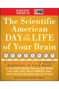 The Scientific American Day in the Life of Your Brain - Scientific American Mind