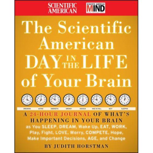 The Scientific American Day in the Life of Your Brain - Scientific American Mind