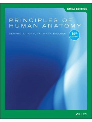 Principles of Human Anatomy
