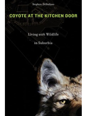 Coyote at the Kitchen Door Living With Wildlife in Suburbia