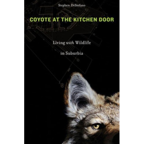Coyote at the Kitchen Door Living With Wildlife in Suburbia