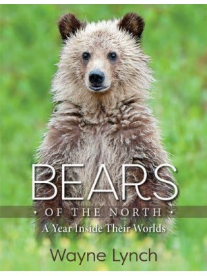 Bears of the North A Year Inside Their Worlds