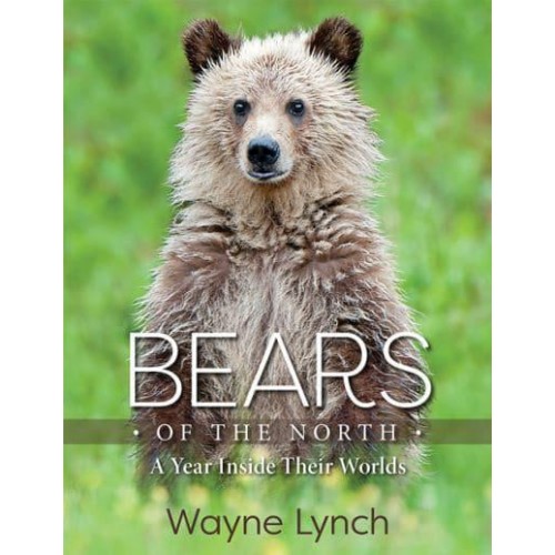 Bears of the North A Year Inside Their Worlds