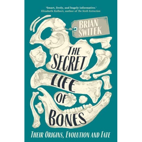 The Secret Life of Bones Their Origins, Evolution and Fate
