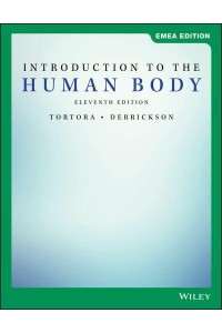 Introduction to the Human Body