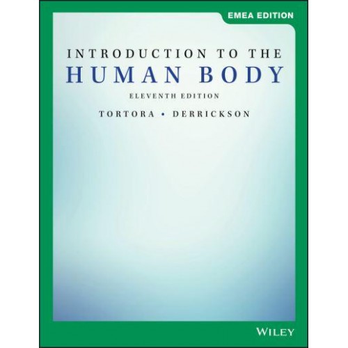 Introduction to the Human Body