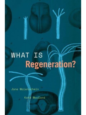 What Is Regeneration? - Convening Science. Discovery at the Marine Biological Laboratory