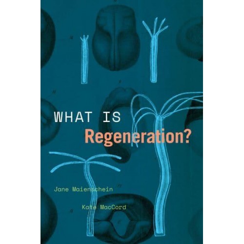 What Is Regeneration? - Convening Science. Discovery at the Marine Biological Laboratory