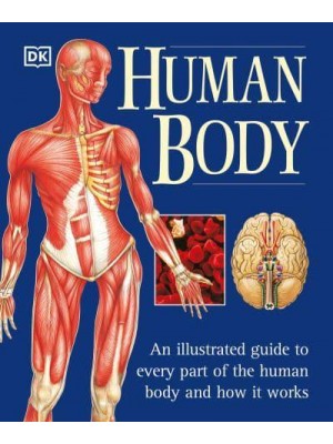 Human Body