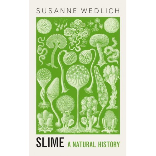 Slime A Natural History